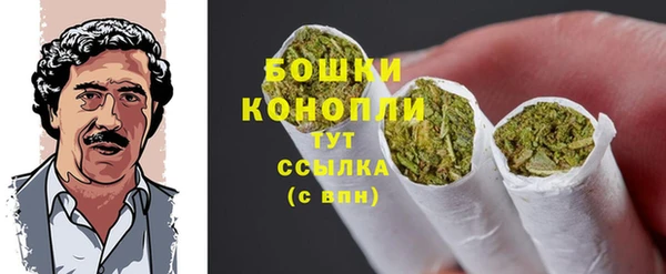 мдпв Россошь